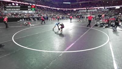 132 lbs Semis - Alois Schlumpf, Bay Port vs Ashton Scheele, Westosha Central