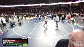 II-101 lbs Semifinal - Declan McKee, Tioga vs Andrew Juliano, Holland Patent