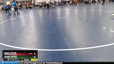 Elite 197 lbs Champ. Round 1 - Gabe Carter, Wisconsin-La Crosse vs Ryder Depies, Wisconsin-Eau Claire