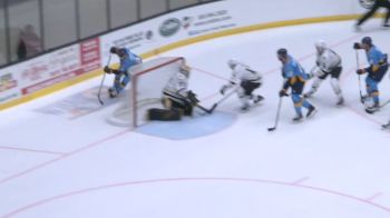 Walleye's Myer Scores Lacrosse-Style Goal