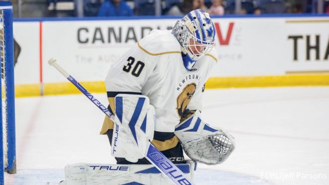 Newfoundland's McKay Named ECHL Goaltender Of The Week