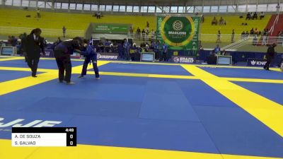 AGATHA DE SOUZA vs SARAH GALVAO 2023 Brasileiro Jiu-Jitsu IBJJF