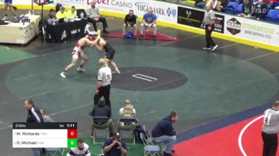 212 lbs Quarterfinal - Matthew Richards, Trinity vs Dylan Michael, Pine-Richland