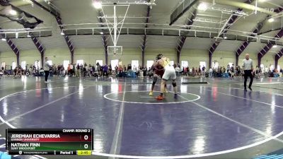 133 lbs Champ. Round 2 - Jeremiah Echevarria, Gannon University vs Nathan Finn, Suny Brockport