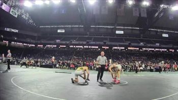 D1-165 lbs Cons. Round 2 - Dominic Beccari, Rochester Adams vs Cayden Nazarians, Portage Northern