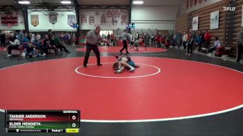 106 lbs Semifinal - Tanner Anderson, Mediapolis vs Elder Mendieta, Clear Creek-Amana