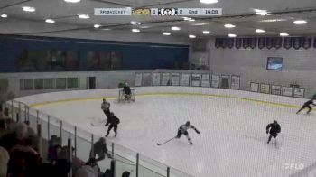 Replay: Home - 2025 Cougars vs Huskies | Feb 1 @ 3 PM