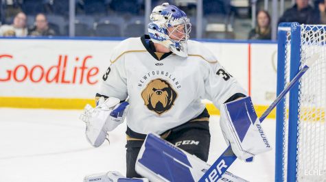 Newfoundland's Cavallin Named ECHL Goaltender Of The Week