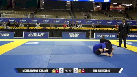 Michelle Wrenae Schramm vs Kelli Elaine DuBois 2026 Pan Jiu Jitsu IBJJF Championship