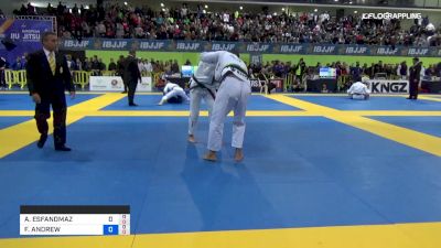 ARYA ESFANDMAZ vs FELIPE ANDREW 2019 European Jiu-Jitsu IBJJF Championship