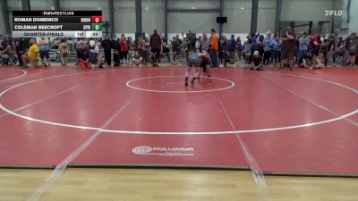 93 lbs Quarterfinal - Roman Domenico, Moon Twp vs Coleman Beecroft, Spring Grove
