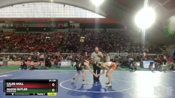 3A 106 lbs Cons. Round 1 - Caleb Woll, Buhl vs Mason Butler, Fruitland