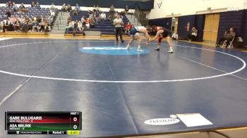 141 lbs Finals (2 Team) - Asa Brunk, Messiah vs Gabe Bulugaris, Ohio Wesleyan