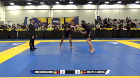 Phillip V. Fitzpatrick vs Fabio R. De Paula Bravo 2024 World IBJJF Jiu-Jitsu No-Gi Championship