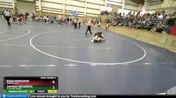 138 lbs Cons. Round 4 - Evan Prokopiw, Spanish Fork vs Damian Neuwirth, Pleasant Grove