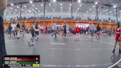 60 lbs Semifinal - Dain Carley, Cobra Wrestling Club vs Cole Licausi, Knights Youth Wrestling