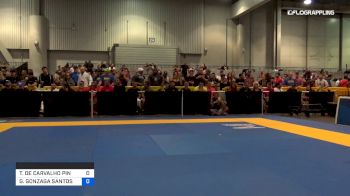 TIAGO DE CARVALHO PINHEIRO vs GABRIEL GONZAGA SANTOS NOGUEIRA 2019 World Master IBJJF Jiu-Jitsu Championship