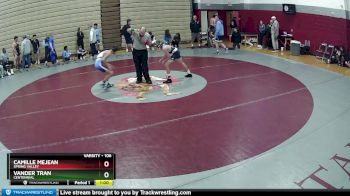 106 lbs Cons. Round 4 - Camille Mejean, Spring Valley vs Vander Tran, Centennial