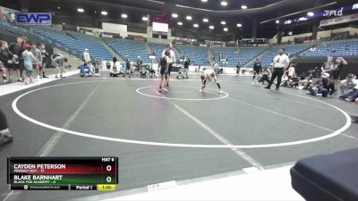 60 lbs Round 4 (10 Team) - Cayden Peterson, Prodigy NDT vs Blake Barnhart, Black Fox Academy