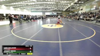 125 lbs 3rd Place Match - Johnny Novak, Baldwin Wallace vs Jack Callahan, Springfield