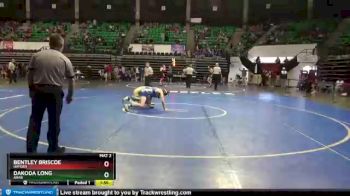 138 lbs Champ. Round 2 - Dakoda Long, Arab vs Bentley Briscoe, Hayden