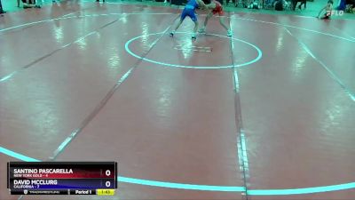 87 lbs Quarterfinals (8 Team) - Santino Pascarella, New York Gold vs David McClurg, California