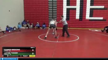 132 lbs Placement - Layton Towery, Auburn vs Gunner Birdsong, Athens