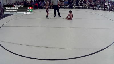 19 lbs Semifinal - Wesley Penas, GI Grapplers vs Dawson Riedel, Gothenburg Jr. Wrestling
