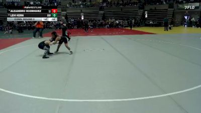 85 lbs Cons. Round 2 - Alejandro Rodriguez, St. James/Madelia vs Levi Kern, BHVPP