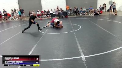 250 lbs Semis & 1st Wrestleback (8 Team) - Darrell Bibbs, Illinois vs Emmitt Summerlin, Pennsylvania Blue