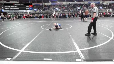 52 lbs Consolation - Declan Metcalf, Purler Wrestling Academy vs James Gremillion, Stronghold