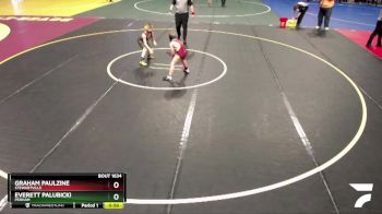 105 lbs Semifinal - Everett Palubicki, Perham vs Graham Paulzine, Stewartville