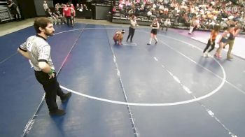 4A 155 lbs Quarterfinal - Sierra Briggs, Jordan vs Daisy Tree, Bear River