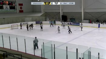 Replay: Home - 2024 BWC vs STAR | Nov 16 @ 4 PM