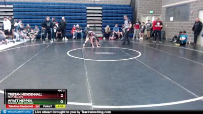 90 lbs Semifinal - Tristan Mendenhall, Team Real Life vs Wyatt Meppen, Thunder Ridge Outlaws