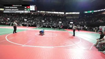 108 lbs Semifinal - Dominic Difilippo, ROGA vs Ziggy Sandobal, IWCA