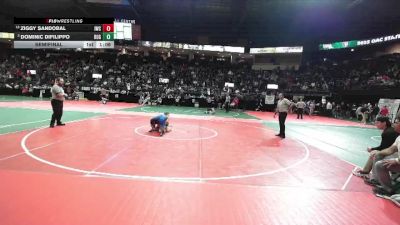 108 lbs Semifinal - Dominic Difilippo, ROGA vs Ziggy Sandobal, IWCA