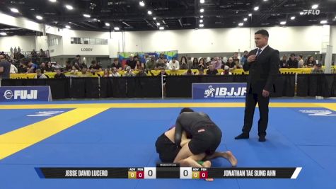 Jonathan Tae Sung Ahn vs Jesse David Lucero 2025 World IBJJF Jiu-Jitsu No-Gi Championship