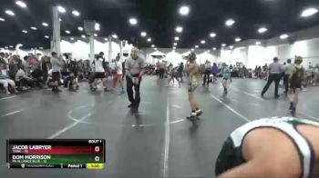 92 lbs Finals (2 Team) - Dom Morrison, PA Alliance Blue vs Jacob LaBryer, TDWC