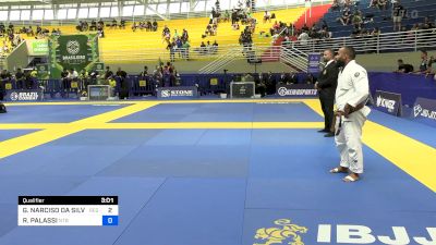 GEOVANE NARCISO DA SILVA vs RODRIGO PALASSI 2024 Brasileiro Jiu-Jitsu IBJJF