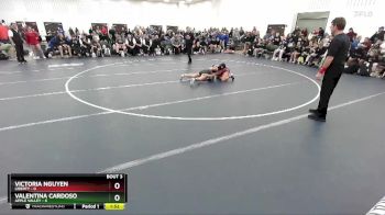 106 lbs Round 3 (3 Team) - Valentina Cardoso, Apple Valley vs Victoria Nguyen, Liberty
