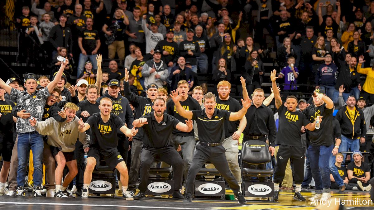 Iowa Wrestling's Attendance Figures Are Staggering!