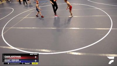 92 lbs Quarterfinal - Chase Hoffmann, Summit Wrestling Academy vs Emmet Mercier, Barbarian Wrestling Club