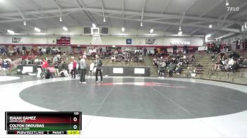 125 lbs Quarterfinal - Isaiah Gamez, Adams State vs Colton Drousias, Glenville State