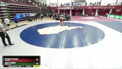 141 lbs Quarterfinal - Niko Ferra, Seton Hill vs Caleb Chaves, Gannon