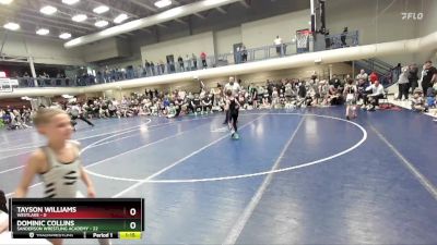 61 lbs Placement Matches (16 Team) - Tayson Williams, Westlake vs Dominic Collins, Sanderson Wrestling Academy