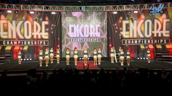 Stars Vipers - San Antonio - V3NOM [2024 L3 Junior - Small - A Day 2] 2024 Encore Grand Nationals