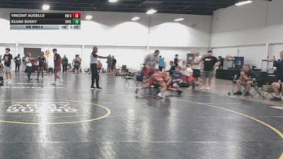 148 lbs Rr Rnd 5 - Vincent Augello, BW Barn - BHSE vs Elijah Bushy, Revival X - BHSE