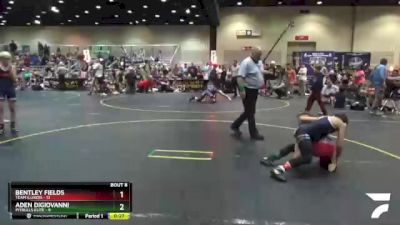 91 lbs Round 3 (6 Team) - Aden Digiovanni, Pitbulls Elite vs Bentley Fields, Team Illinois