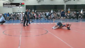 131 lbs Rr Rnd 7 - Gabe Gallo, ICWL Bruisers Elite - ESE vs Christopher Weiner, Mat Assassins - ESE